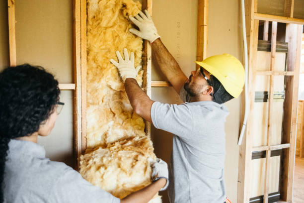 Best Insulation Contractor Near Me  in Vernon, AL